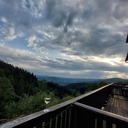 Panorama Apartman Svadlenka Рокицани Экстерьер фото