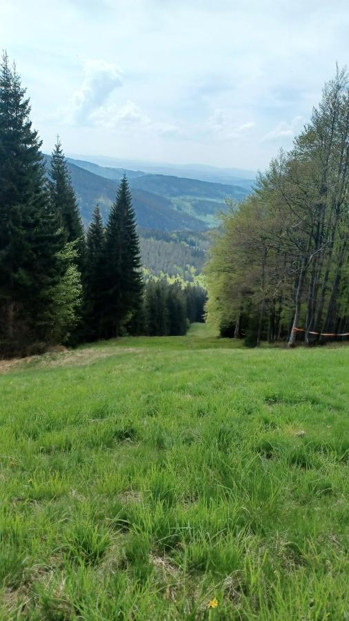 Panorama Apartman Svadlenka Рокицани Экстерьер фото