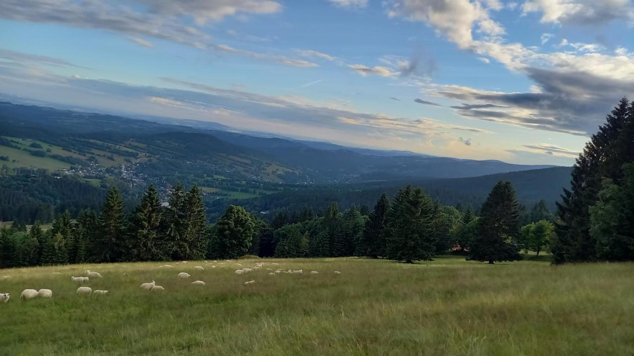 Panorama Apartman Svadlenka Рокицани Экстерьер фото