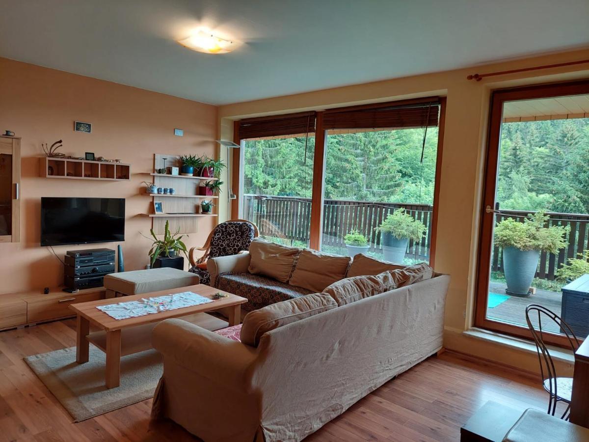 Panorama Apartman Svadlenka Рокицани Экстерьер фото
