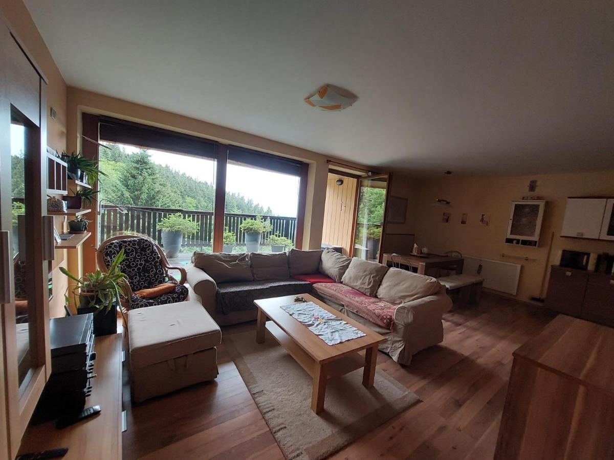 Panorama Apartman Svadlenka Рокицани Экстерьер фото